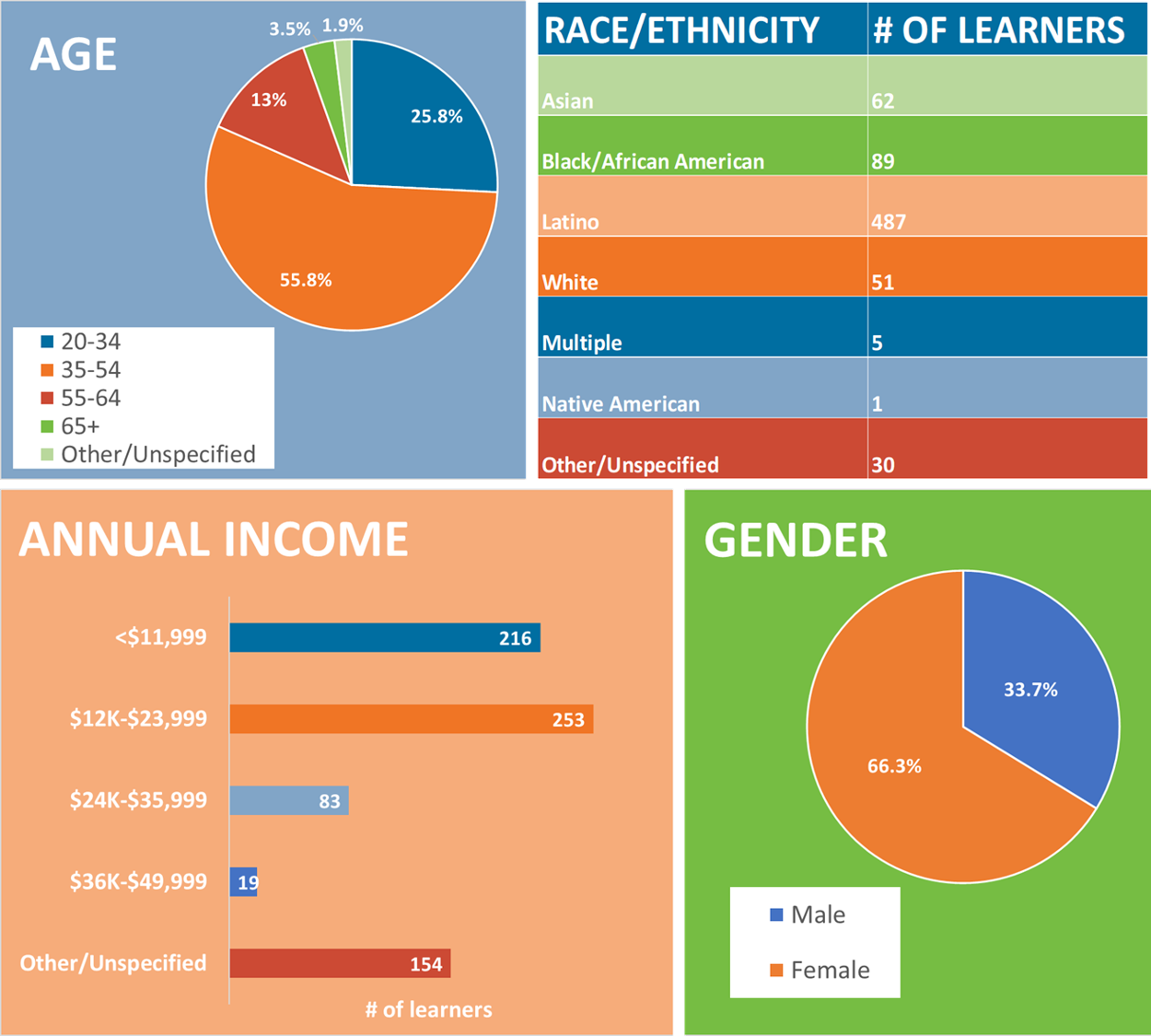 Demographic chart graphic Annual Report 2020