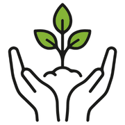 Hands holding plant